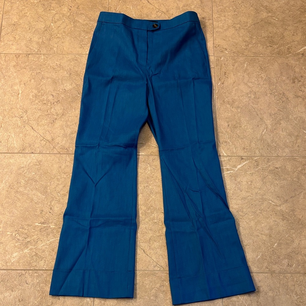 Ann Taylor Vibrant Blue Trousers